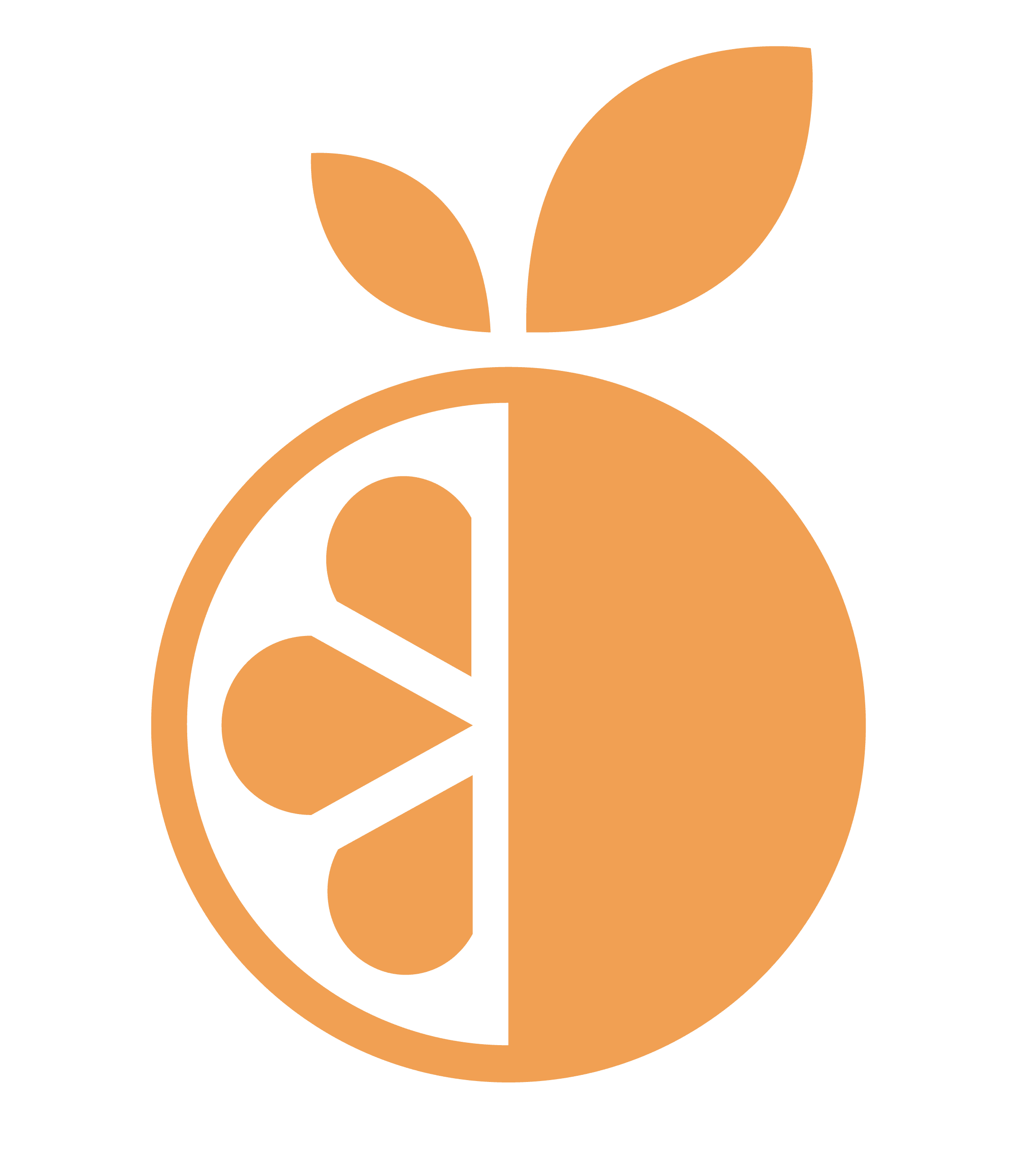 Tangerine.fun License Fee