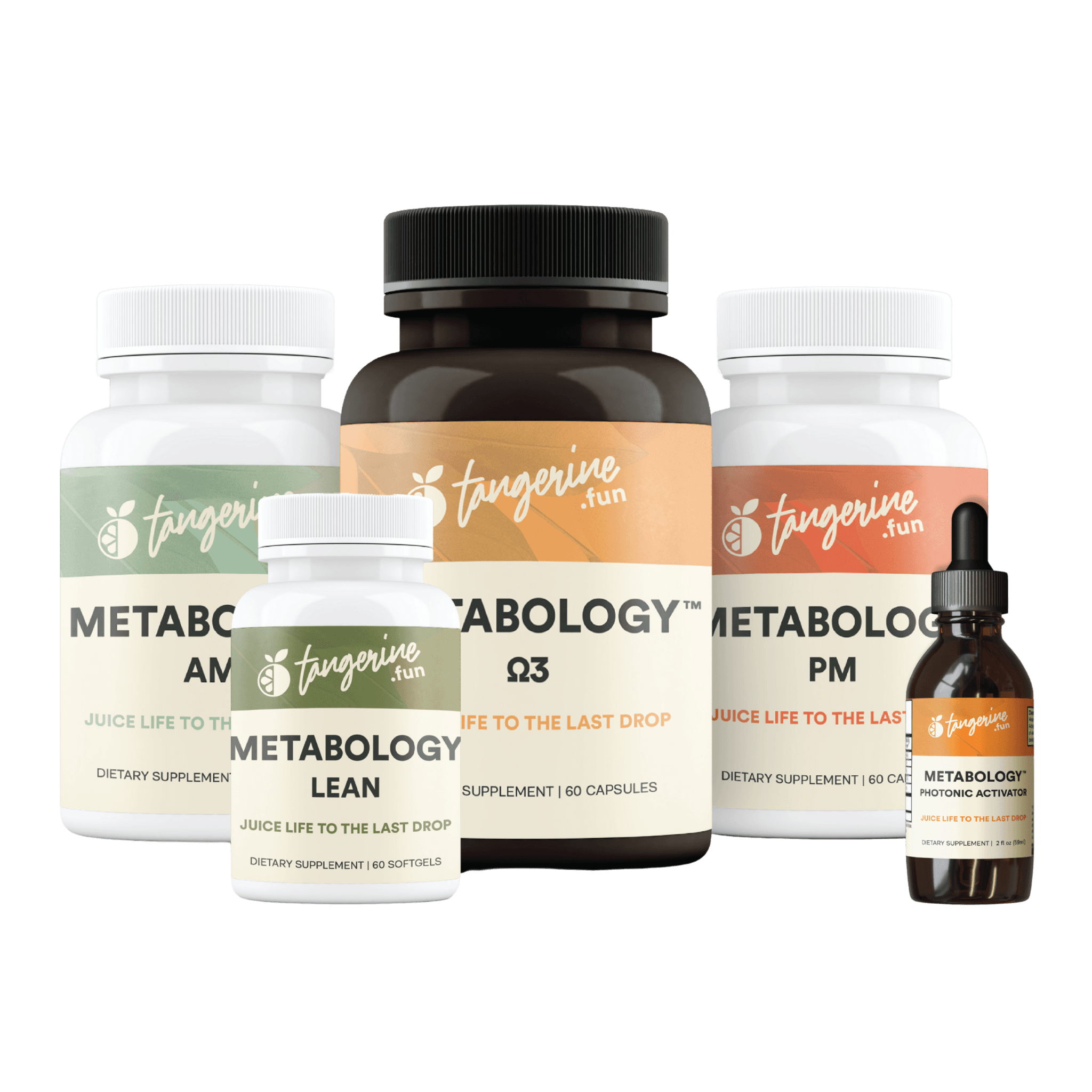 Metabology Matrix